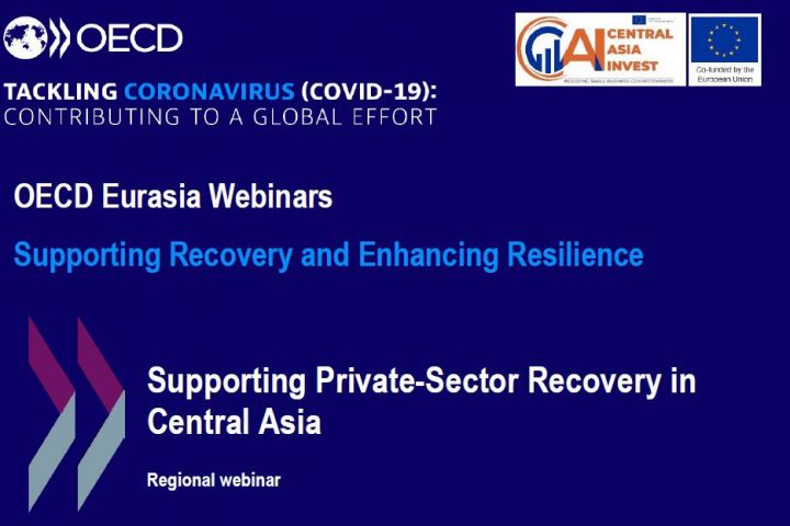 OECD Eurasia Webinars - Supporting Recovery and Enhancing Resilience: “Supporting Private-Sector Recovery in Central Asia”